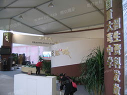 成都博達(dá)展覽展示服務(wù) 專業(yè)打造卓越展覽體驗(yàn)